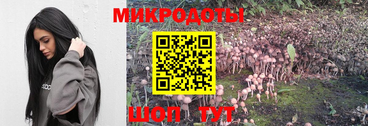 Всеволожск  Галлюциногенные грибы ЛСД  Вход с VPN 