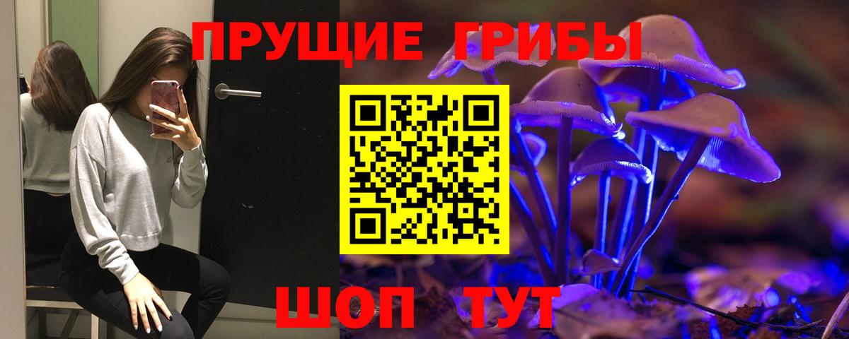 Галлюциногенные грибы Cubensis Всеволожск